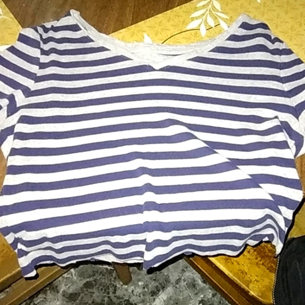 Blue and Grey striped crop top